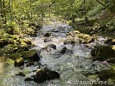 Small mountain river GerovÄica, Zamost - Region of Gorski kotar, Croatia / Mala gorska rijeka GerovÄica Stock Photo